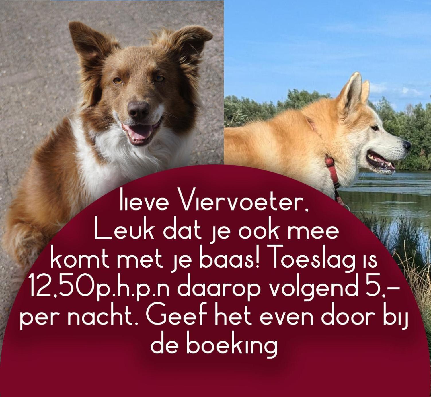 Overasselt B&B Het Gelders Buitenleven المظهر الخارجي الصورة